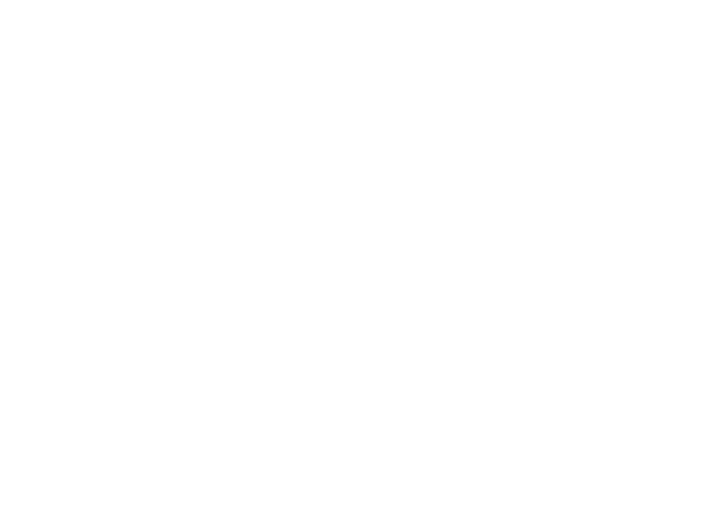 Lasa Detailing Logo